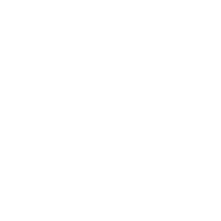 CAP-GEMINI